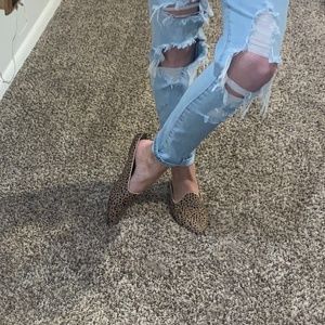 Cheetah slides